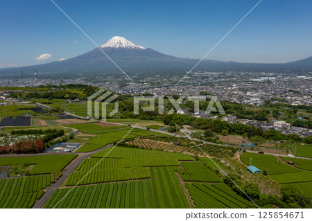 富士山和茶廠4 125854671