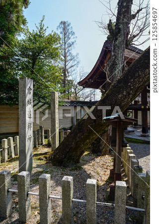立木神社:皇大神宮參拜處與宮城參拜處 立木神社:皇大神宮參拜處與宮城參拜處 125854697