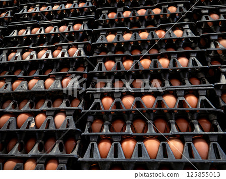 Pile stacks of brown eggs in trays from an agricultural egg farm factory. For wholesale market. 125855013