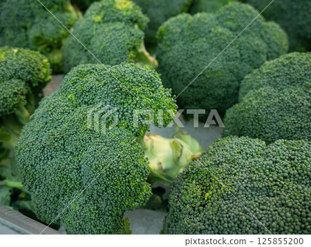 Fresh organic Broccoli on supermarket shelf. Fresh organic Broccoli on supermarket shelf. 125855200