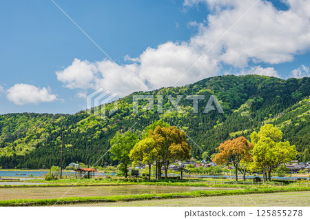 Fresh green trees and mountain ranges along Lake Yogo, Yogo Town, Nagahama City, Shiga Prefecture 125855278
