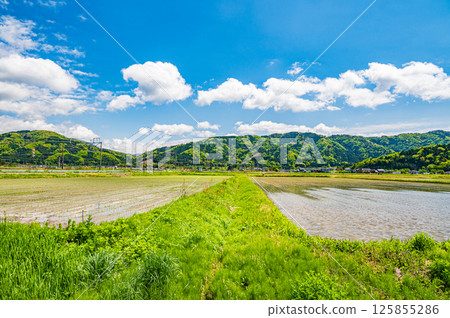 滋賀縣長濱市與後町港北地區的田園風光 125855286