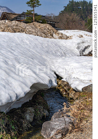 Snow melts in Shirakawa-go. A murmur in the remaining snow. 125855341