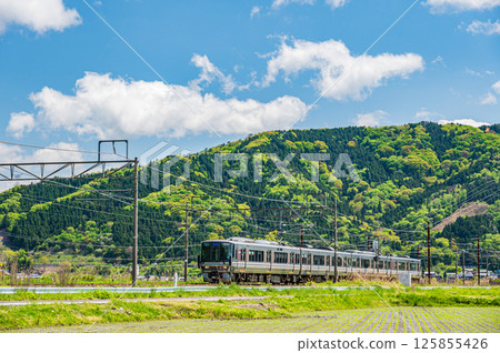 A special rapid train running near Yogo Station on the Hokuriku Main Line in Yogo Town, Nagahama City, Shiga Prefecture A special rapid train running near Yogo Station on the Hokuriku Main Line in Yogo Town, Nagahama City, Shiga Prefecture 125855426