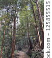 圍繞山路 圍繞山路 125855515