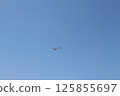 飛行藍天的海鷗 125855697