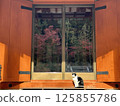 寺廟和貓 寺廟和貓 125855786