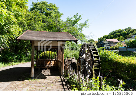 Waterwheel on the Nogawa River, tranquil scenery, blue spring sky, Osawa, Mitaka City, Tokyo 125855866