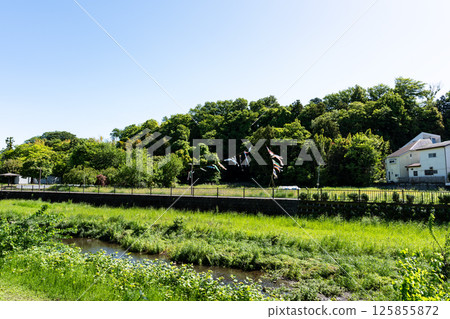 大澤村(濕地花園)與春天藍天下的鯉魚旗,東京都三鷹市大澤 大澤村(濕地花園)與春天藍天下的鯉魚旗,東京都三鷹市大澤 125855872