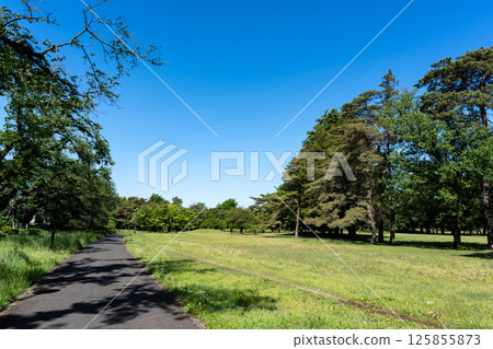 Scenery of Nogawa Park, blue sky in spring, Osawa, Mitaka, Tokyo 125855873