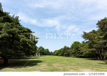 在東京三鷹市大澤的野川公園裡，在春天的藍天下休息 125855909
