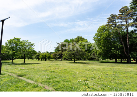 東京都三鷹市大澤市春天的藍天野川公園廣場 125855911