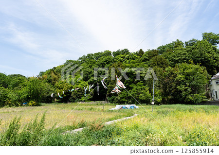 Nogawa and Osawa Village (Wetland Flower Garden) Carp streamers and blue spring sky Osawa, Mitaka City, Tokyo 125855914