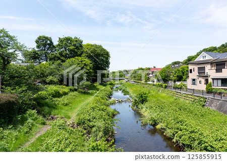 Looking out over the Nogawa River under the blue spring sky, Osawa, Mitaka City, Tokyo 125855915