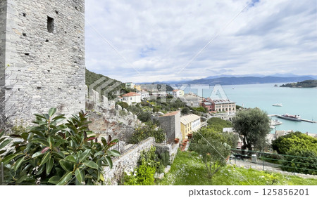 View of town from top of castle. Traditional buildings. Boats in town of Porto Venere, Liguria. Sea and tourism in Italy. Nature in mountains.  125856201