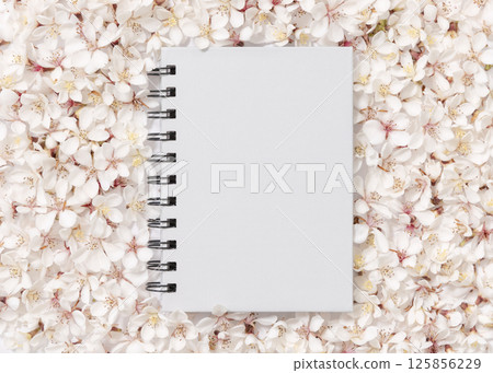 Gray blank spiral notebook over white cherry flowers top view, spring wedding mockup Gray blank spiral notebook over white cherry flowers top view, spring wedding mockup 125856229