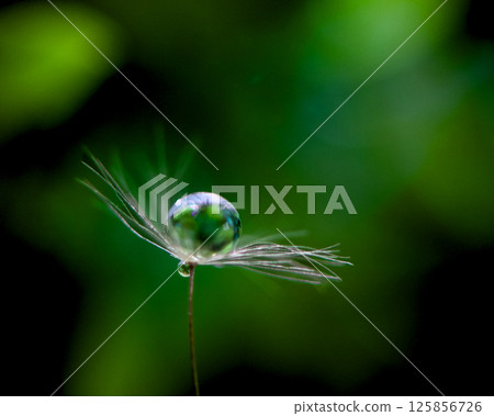 具有綠色背景和水滴的美麗風景 125856726