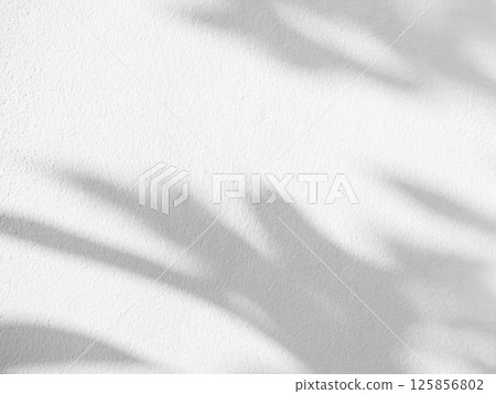 Shadow Background Abstract Leave Overlay Wall Floor Light Effect White Plant Sunlight Backdrop Mockup Minimal Spring Summer Nature Grey blur Photography Scene Template Poster Card Frame Product. Shadow Background Abstract Leave Overlay Wall Floor Light Effect White Plant Sunlight Backdrop Mockup Minimal Spring Summer Nature Grey blur Photography Scene Template Poster Card Frame Product. 125856802