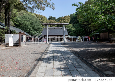 春天的常盤神社拜殿，毗鄰日本三大公園之一的偕樂園。 125856972