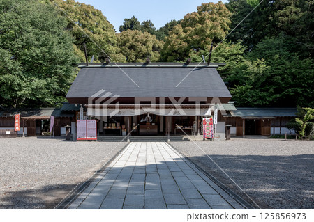 春天的常盤神社拜殿，毗鄰日本三大公園之一的偕樂園。 125856973