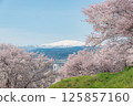 Cherry blossoms and Mt. Gassan viewed from Mt. Nagaoka 125857160