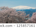 Cherry blossoms and Mt. Gassan viewed from Mt. Nagaoka 125857161