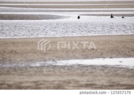 Background material with a shallow coastline motif Background material with a shallow coastline motif 125857170