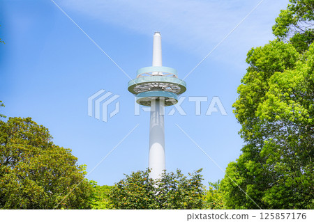 所澤飛機紀念公園 125857176