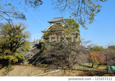 Kumamoto Castle, Kumamoto City Kumamoto Castle, Kumamoto City 125857212
