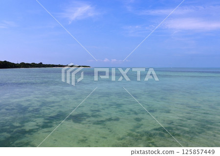 從竹富島西碼頭眺望近土井濱海灘 125857449