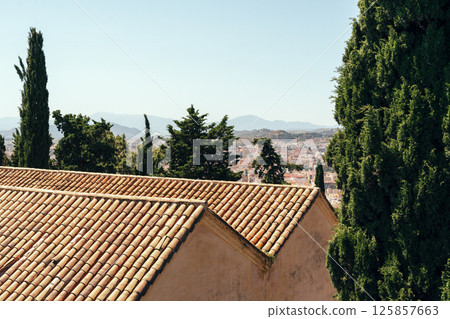 Sunlit terracotta rooftops and lush greenery with a city view. 125857663
