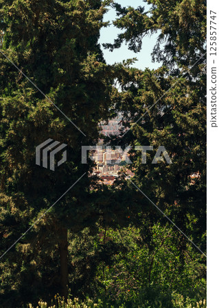 Lush trees framing a distant city view under a clear sky. Lush trees framing a distant city view under a clear sky. 125857747