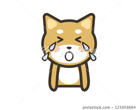 一隻可愛的柴犬大聲哭泣的插圖 125858664