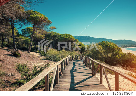 Wooden walkway along the sea and pine trees in the natural park to sandy Bolonia Dune  Andalusia Spain Europe 125858807