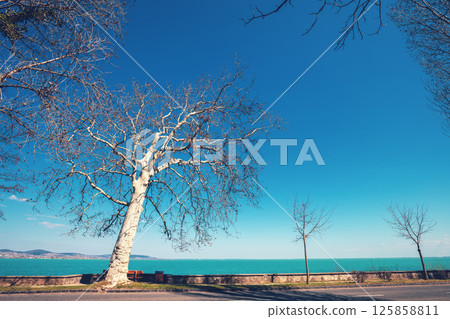 Balaton lake embankment, Tihany Peninsula, Hungary, Europe Balaton lake embankment, Tihany Peninsula, Hungary, Europe 125858811