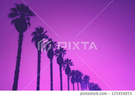 Row of Palm trees against sky at sunset Purple color toning 125858853