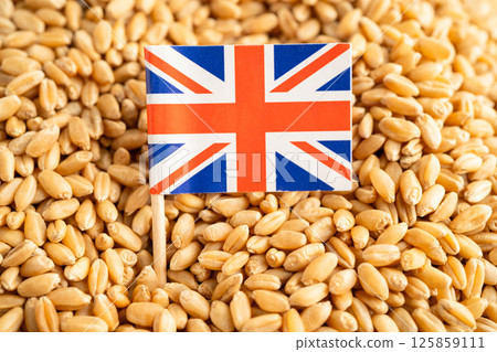 UK United Kingdom flag with Wheat and grains ears agricultural, organic farm 125859111