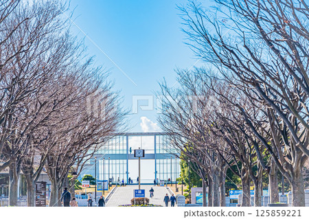 Scenery of Kasai Rinkai Park, Edogawa, Tokyo 125859221