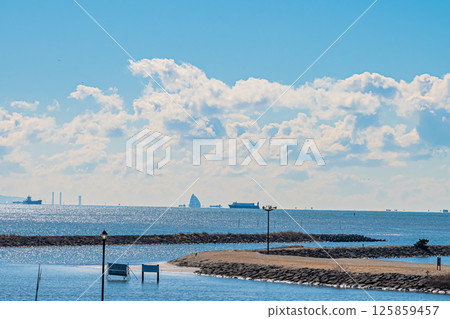 Scenery of Kasai Rinkai Park in Tokyo 125859457