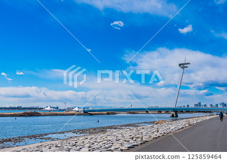 Scenery of Kasai Rinkai Park in Tokyo Scenery of Kasai Rinkai Park in Tokyo 125859464