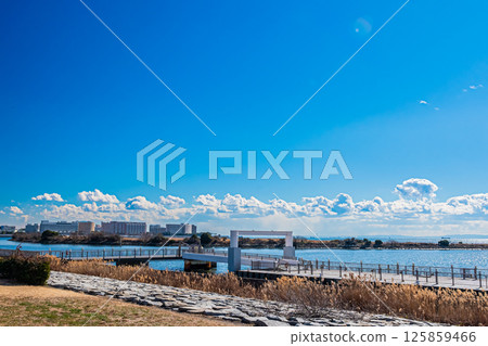 Scenery of Kasai Rinkai Park in Tokyo 125859466