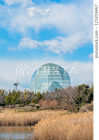 Scenery of Kasai Rinkai Park in Tokyo Scenery of Kasai Rinkai Park in Tokyo 125859467
