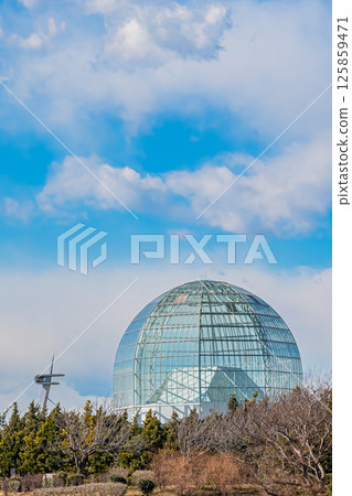 東京葛西臨海公園的風景 東京葛西臨海公園的風景 125859471