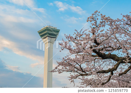 Spring at Goryokaku Park in Hakodate, Hokkaido Spring at Goryokaku Park in Hakodate, Hokkaido 125859770