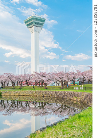 北海道函館五稜郭公園的春天 125859781