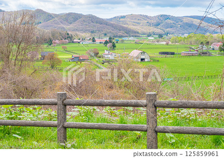 Spring at Yushun Sakura Road in Urakawa, Hokkaido 125859961