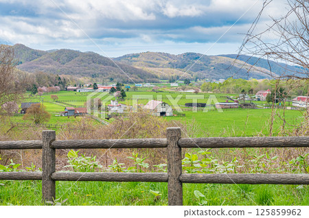 北海道浦川市有春櫻花路的春天 125859962