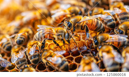 closeup of honeycomb with bee making honey process 125860016
