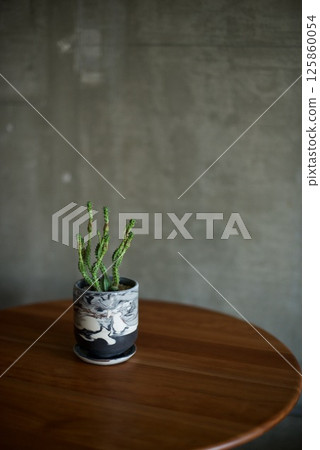 Pferlsdorfii planted in a marble pot 125860054