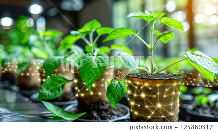 artificial background on natural themes. white flowers, trees 125860317